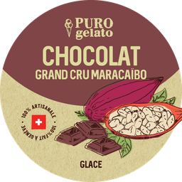 Chocolat glace 4x480ml. En gros.